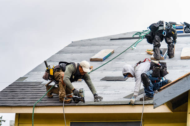 Professional Flat Roof Repair technician working in Juda, WI